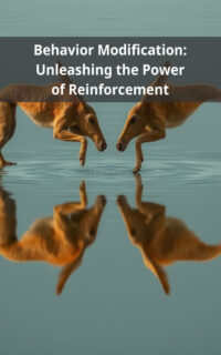Behavior Modification: Unleashing the Power of Reinforcement