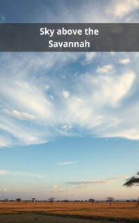 Sky above the Savannah