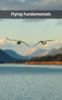 Flying Fundamentals