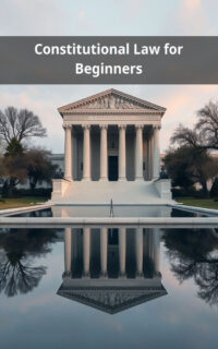 Constitutional Law for Beginners