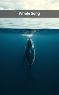 Whale Song