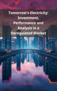 Tomorrow's Electricity: Investment, Performance and Analysis in a Deregulated Market