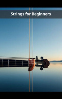 Strings for Beginners