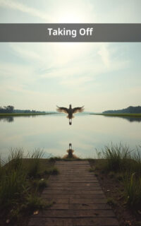 Taking Off
