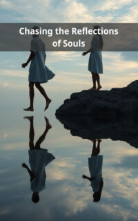 Chasing the Reflections of Souls
