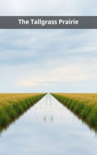 The Tallgrass Prairie