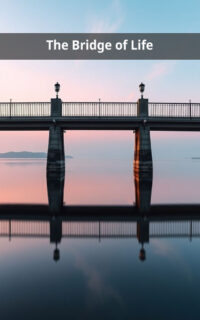 The Bridge of Life