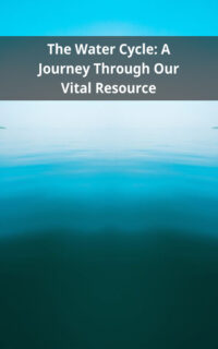 The Water Cycle: A Journey Through Our Vital Resource
