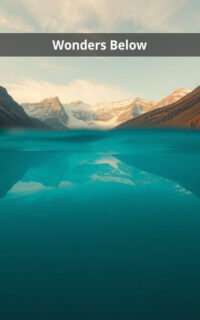 Wonders Below