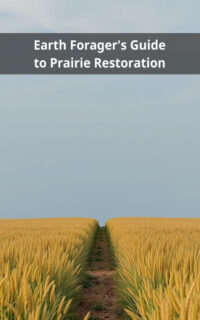 Earth Forager's Guide to Prairie Restoration