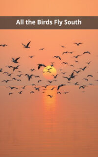 All the Birds Fly South