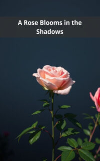 A Rose Blooms in the Shadows