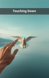 Touching Down