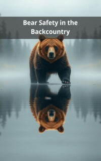 Bear Safety in the Backcountry