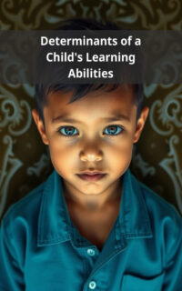 Determinants of a Child's Learning Abilities