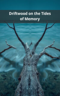 Driftwood on the Tides of Memory