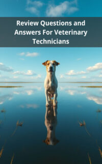 Review Questions and Answers For Veterinary Technicians